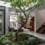 Kiến trúc xanh cho nhà phố